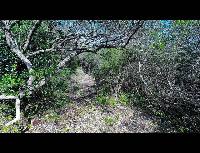 LAND FOR SALE IN GROOT BRAKRIVIER CENTRAL